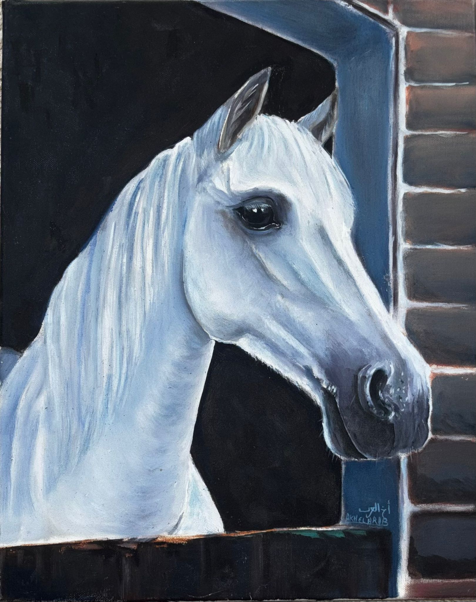 Cheval arabe — huile sur toile de Karim Akh el Arab